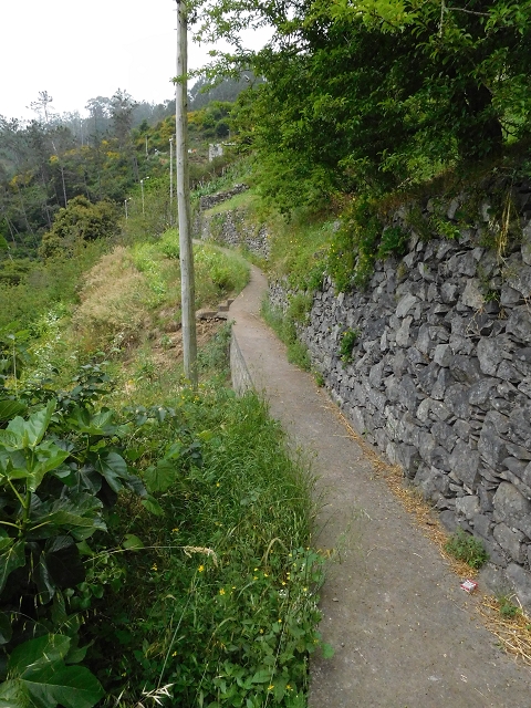 22.06.2016 Levada do Norte — Weg nach Fontainhas und Überreste der Levada do Rouca — Foto 12