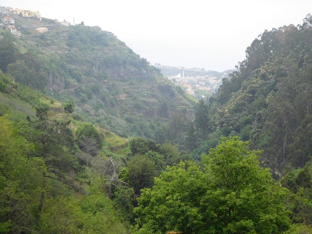 22.06.2016 Levada do Norte — Weg nach Fontainhas und Überreste der Levada do Rouca — Foto 13