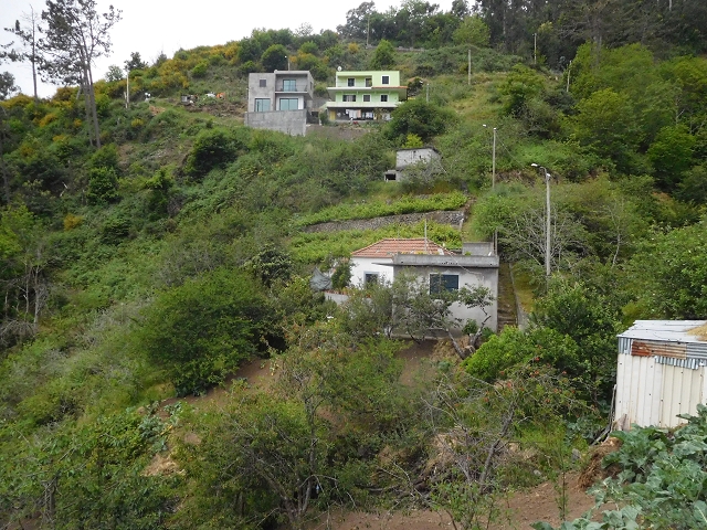 22.06.2016 Levada do Norte — Weg nach Fontainhas und Überreste der Levada do Rouca — Foto 14