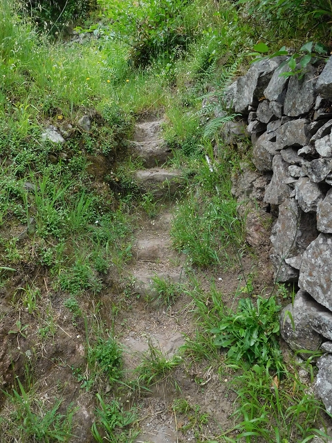 22.06.2016 Levada do Norte — Weg nach Fontainhas und Überreste der Levada do Rouca — Foto 15