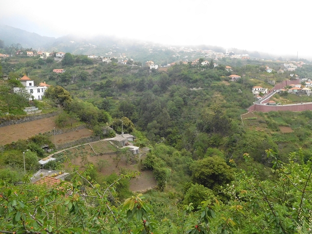 22.06.2016 Levada do Norte — Weg nach Fontainhas und Überreste der Levada do Rouca — Foto 16