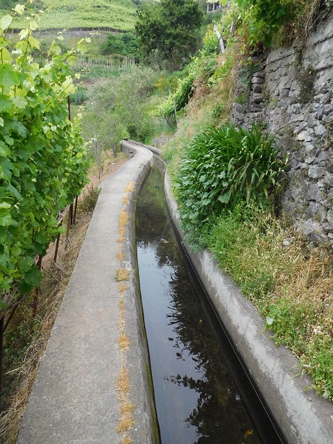 22.06.2016 Levada do Norte — Von Estreito de Camara de Lobos bis zum Tal der Ribeira da Caixa — Foto 9