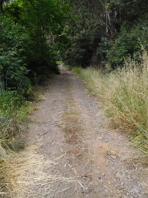 22.06.2016 Levada do Norte — Weg nach Fontainhas und Überreste der Levada do Rouca — Foto 19