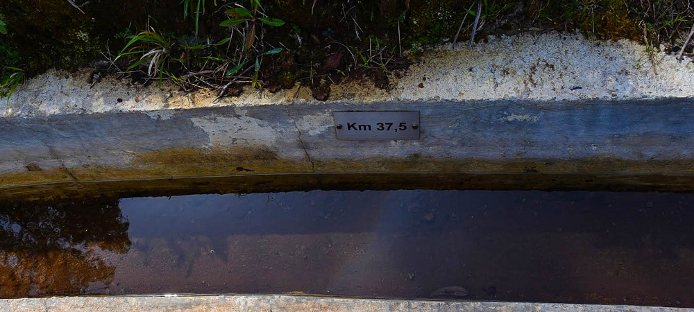 Levada Nova — Das Endstück zwischen Ponta do Pargo und Sitio do Cabo — Foto 2