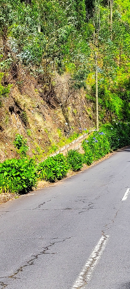 Levada Nova — Das Endstück zwischen Ponta do Pargo und Sitio do Cabo — Foto 9
