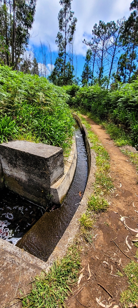 Levada Nova — Das Ende der Levada Nova bei Cabo — Foto 2