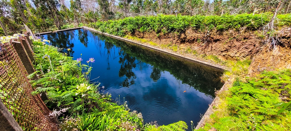 Levada Nova — Das Ende der Levada Nova bei Cabo — Foto 3