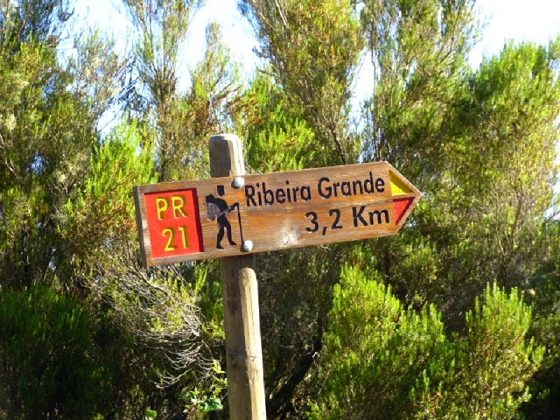22.07.2013 Levadas do Norte und Plaino Velho — Auf dem PR-21 zur Levada da Faja do Rodrigues — Foto 1