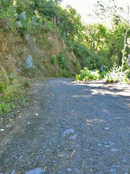 22.07.2013 Levadas do Norte und Plaino Velho — Auf dem PR-21 zur Levada da Faja do Rodrigues — Foto 12