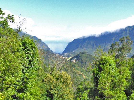 22.07.2013 Levadas do Norte und Plaino Velho — Auf dem PR-21 zur Levada da Faja do Rodrigues — Foto 13