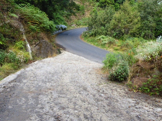 22.07.2013 Levadas do Norte und Plaino Velho — Auf dem PR-21 zur Levada da Faja do Rodrigues — Foto 15