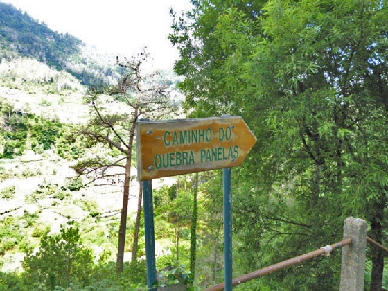 22.07.2013 Levadas do Norte und Plaino Velho — Auf dem PR-21 zur Levada da Faja do Rodrigues — Foto 18