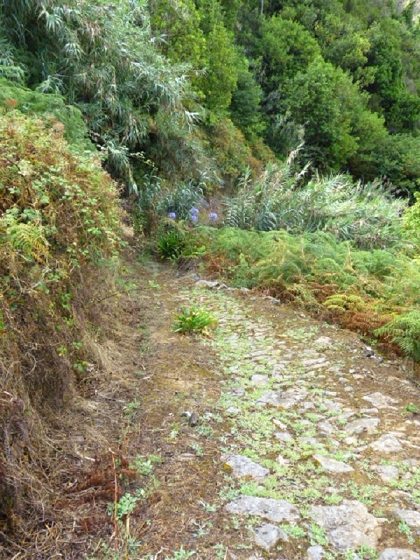 22.07.2013 Levadas do Norte und Plaino Velho — Auf dem PR-21 zur Levada da Faja do Rodrigues — Foto 19