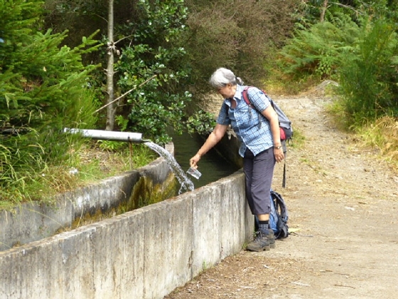 22.07.2013 Levadas do Norte und Plaino Velho — Von der Levada da Faja do Rodrigues zur Levada do Norte — Foto 3