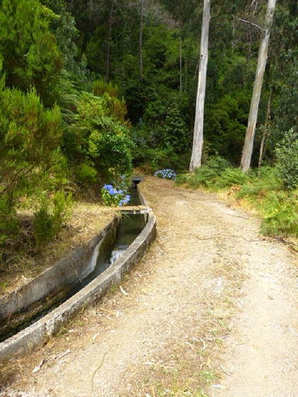 22.07.2013 Levadas do Norte und Plaino Velho — Von der Levada da Faja do Rodrigues zur Levada do Norte — Foto 4