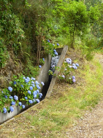 22.07.2013 Levadas do Norte und Plaino Velho — Von der Levada da Faja do Rodrigues zur Levada do Norte — Foto 5