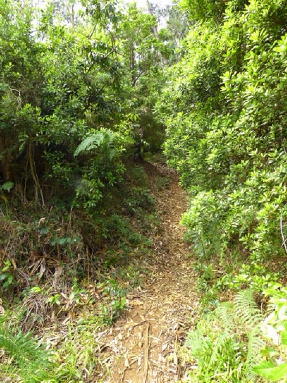 22.07.2013 Levadas do Norte und Plaino Velho — Von der Levada da Faja do Rodrigues zur Levada do Norte — Foto 6