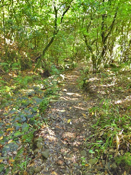 22.07.2013 Levadas do Norte und Plaino Velho — Auf dem PR-21 zur Levada da Faja do Rodrigues — Foto 3
