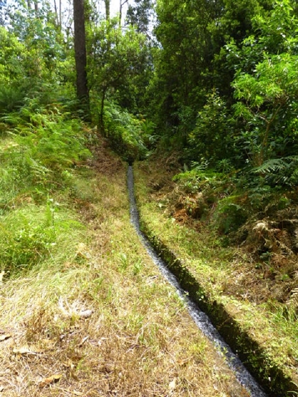 22.07.2013 Levadas do Norte und Plaino Velho — Von der Levada da Faja do Rodrigues zur Levada do Norte — Foto 8