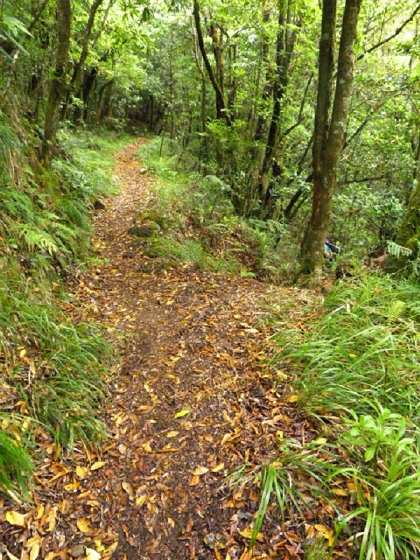 22.07.2013 Levadas do Norte und Plaino Velho — Von der Levada da Faja do Rodrigues zur Levada do Norte — Foto 18