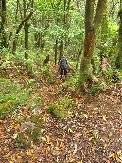 22.07.2013 Levadas do Norte und Plaino Velho — Und weiter zur Levada do Plaino Velho — Foto 1