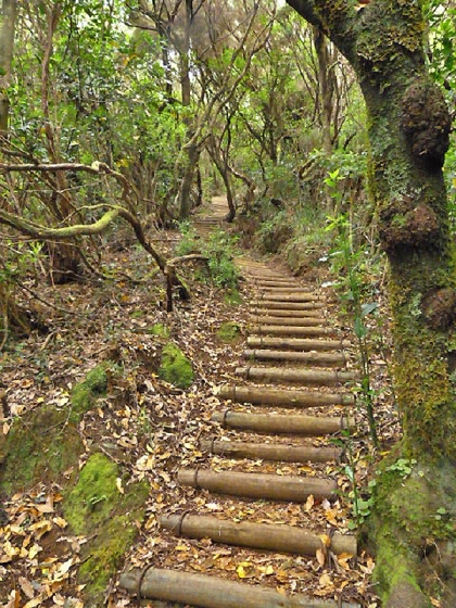 22.07.2013 Levadas do Norte und Plaino Velho — Und weiter zur Levada do Plaino Velho — Foto 5