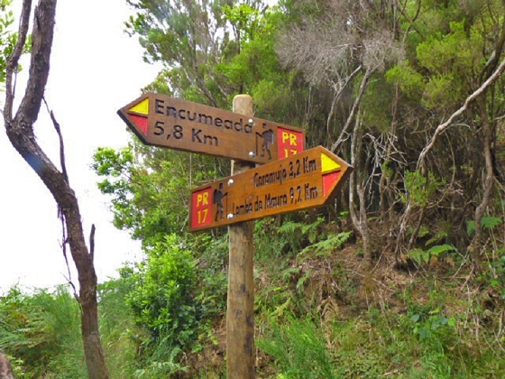 22.07.2013 Levadas do Norte und Plaino Velho — Und weiter zur Levada do Plaino Velho — Foto 8