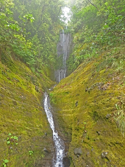 22.07.2013 Levadas do Norte und Plaino Velho — Und weiter zur Levada do Plaino Velho — Foto 10