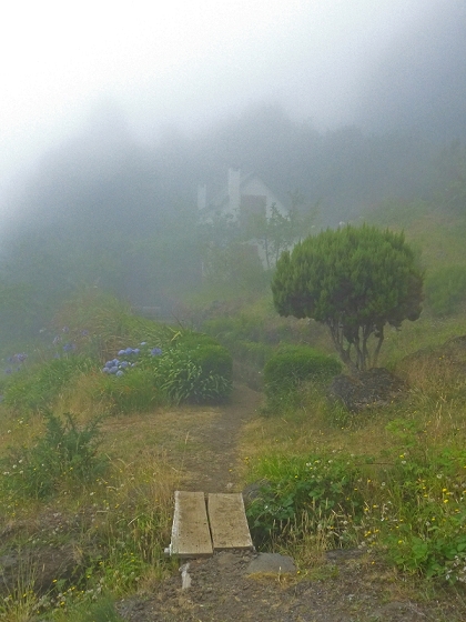 22.07.2013 Levadas do Norte und Plaino Velho — Zurück auf der Levada do Norte...... — Foto 1