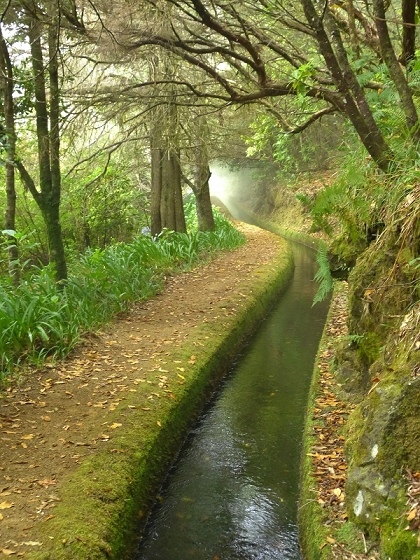 22.07.2013 Levadas do Norte und Plaino Velho — Zurück auf der Levada do Norte...... — Foto 3
