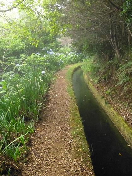 22.07.2013 Levadas do Norte und Plaino Velho — Zurück auf der Levada do Norte...... — Foto 4
