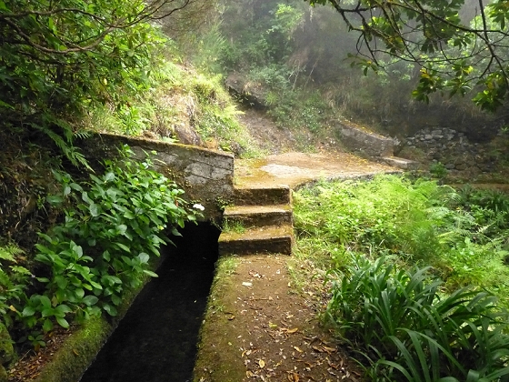 22.07.2013 Levadas do Norte und Plaino Velho — Zurück auf der Levada do Norte...... — Foto 5
