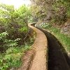 22.07.2013 Levadas do Norte und Plaino Velho — Zurück auf der Levada do Norte...... — Foto 7
