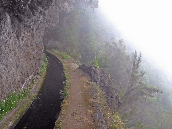 22.07.2013 Levadas do Norte und Plaino Velho — Zurück auf der Levada do Norte...... — Foto 10