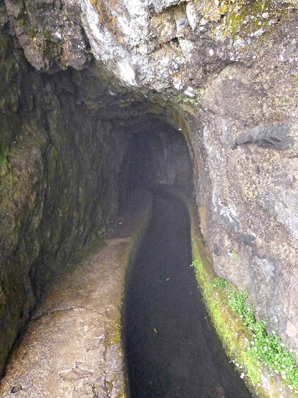 22.07.2013 Levadas do Norte und Plaino Velho — Zurück auf der Levada do Norte...... — Foto 11