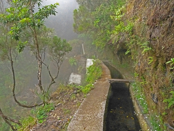 22.07.2013 Levadas do Norte und Plaino Velho — Zurück auf der Levada do Norte...... — Foto 13