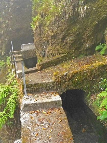 22.07.2013 Levadas do Norte und Plaino Velho — Zurück auf der Levada do Norte...... — Foto 14