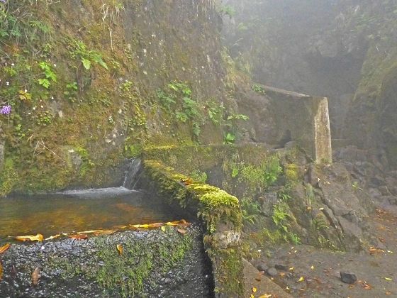 Levada do Norte Nord — Crossing the eastern main branch of the Ribeira Seca — photo 2