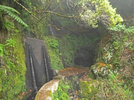 22.07.2013 Levadas do Norte und Plaino Velho — Zurück auf der Levada do Norte...... — Foto 21