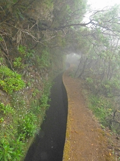 22.07.2013 Levadas do Norte und Plaino Velho — Zurück auf der Levada do Norte...... — Foto 22