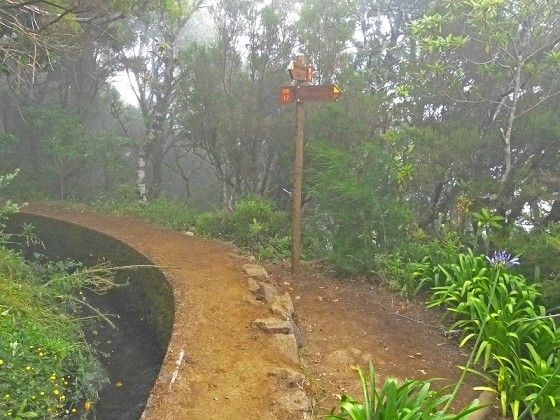 22.07.2013 Levadas do Norte und Plaino Velho — Zurück auf der Levada do Norte...... — Foto 23