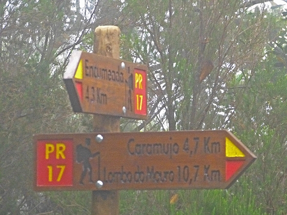 22.07.2013 Levadas do Norte und Plaino Velho — Zurück auf der Levada do Norte...... — Foto 24