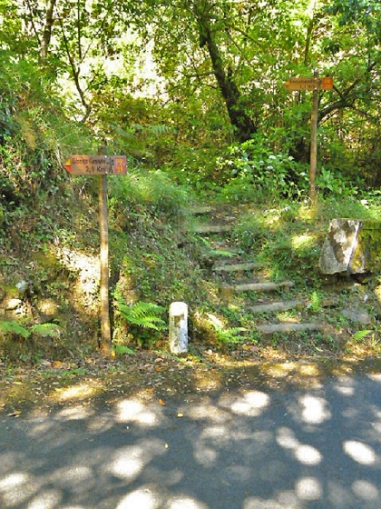 22.07.2013 Levadas do Norte und Plaino Velho — Auf dem PR-21 zur Levada da Faja do Rodrigues — Foto 8