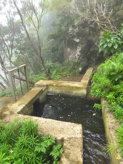 Levada do Norte Nord — The sixteenth tunnel — photo 1
