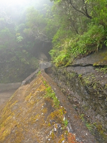22.07.2013 Levadas do Norte und Plaino Velho — Zurück auf der Levada do Norte...... — Foto 35