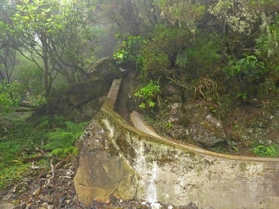 22.07.2013 Levadas do Norte und Plaino Velho — Zurück auf der Levada do Norte...... — Foto 36