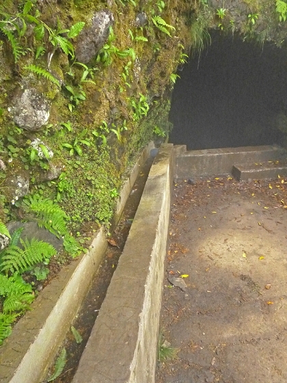 Levada do Norte Nord — The seventeenth tunnel — photo 1