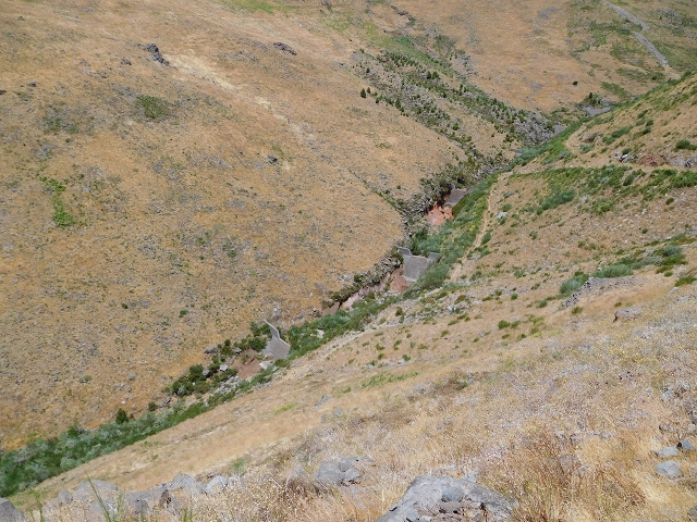 22 de julho de 2015 Levada da Serra da Alegria superior — Do Poco da Neve à Madre da Levada da Negra — foto 10