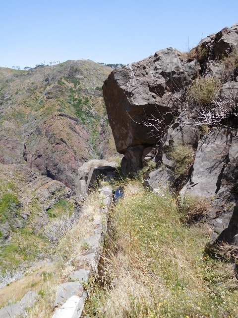22 de julho de 2015 Levada da Serra da Alegria superior — Na Levada da Serra da Alegria sup. e regresso ao Poco da Neve — foto 4