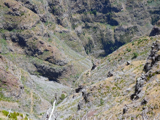 22 de julho de 2015 Levada da Serra da Alegria superior — Na Levada da Serra da Alegria sup. e regresso ao Poco da Neve — foto 6